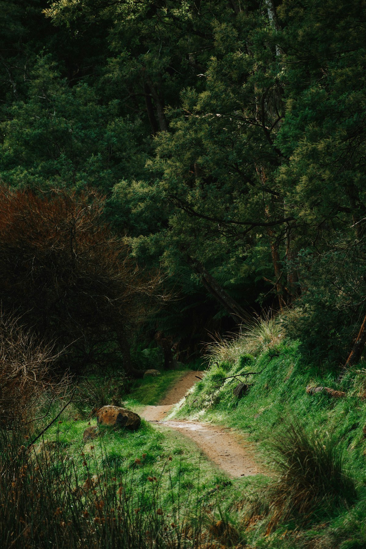 Monte Bondone single track