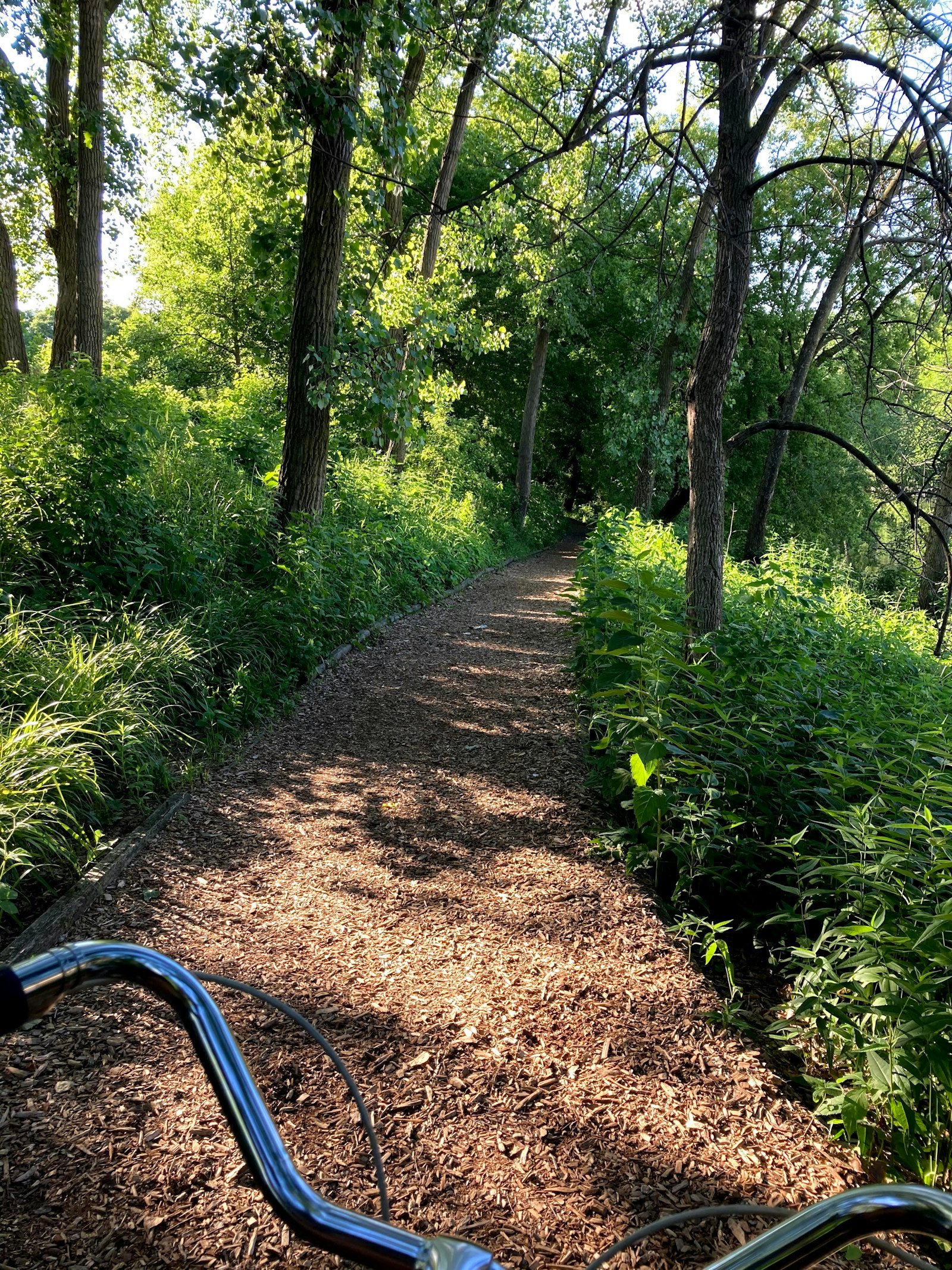 Sentiero ciclabile