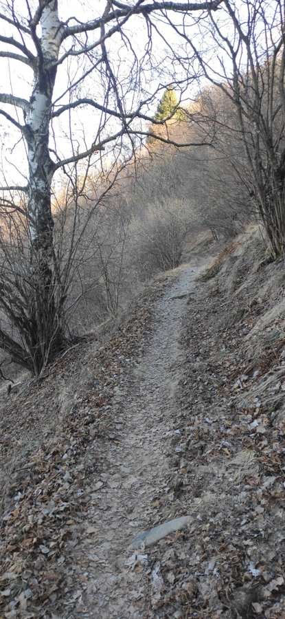 Dorsale del Triangolo Lariano: Brunate, Sentiero dei Faggi e Vicere