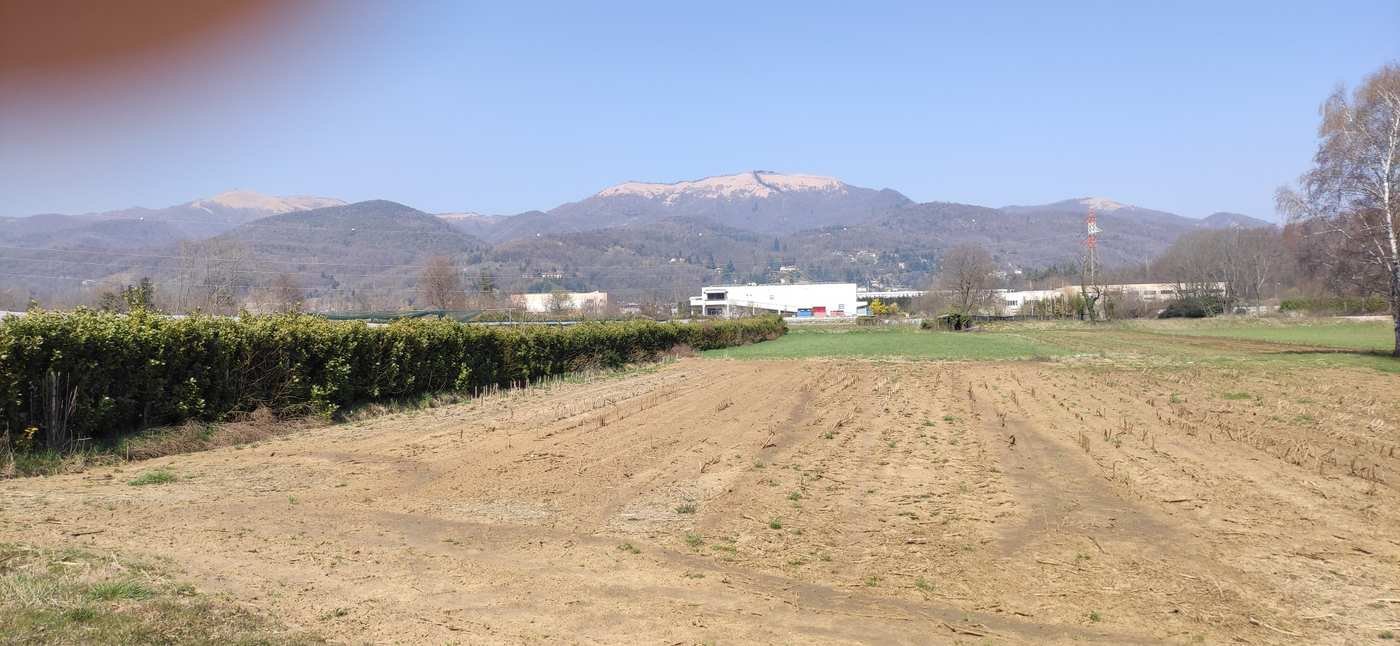 Alzate-Erba