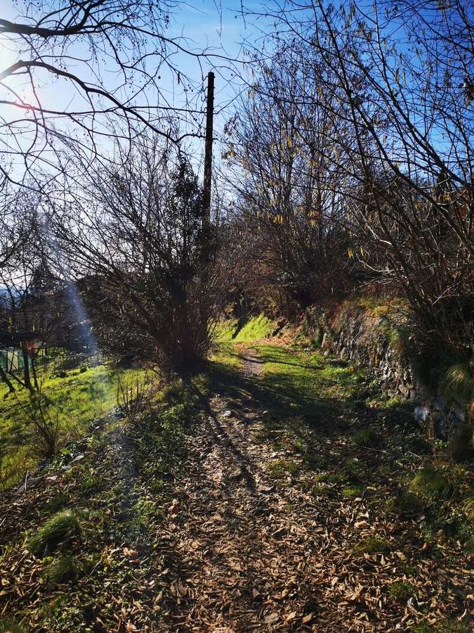 Alzate-Erba