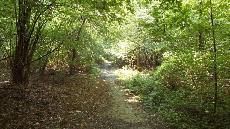 Alzate Brianza – Albavilla – Erba