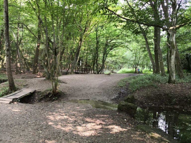 Parco della Brughiera – Giro ad anello