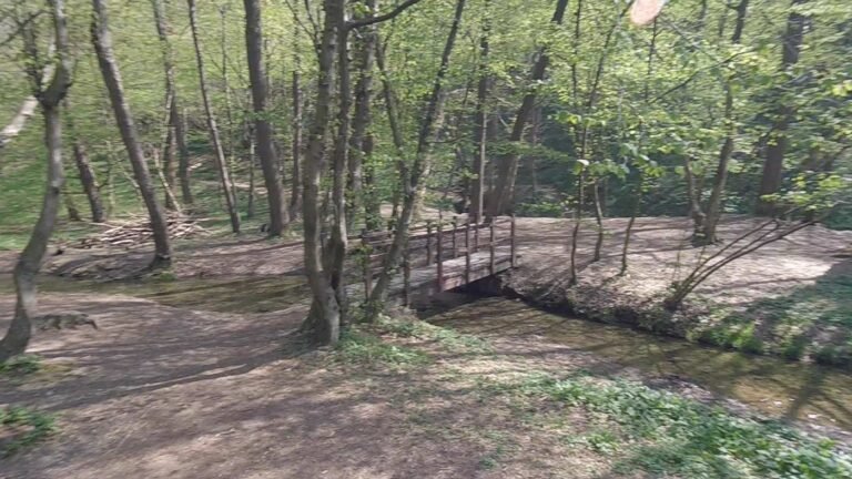 Parco della Brughiera – Giro ad anello