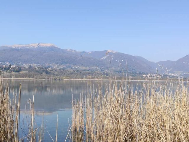 Giro dei Laghi di Alserio e Pusiano in MTB