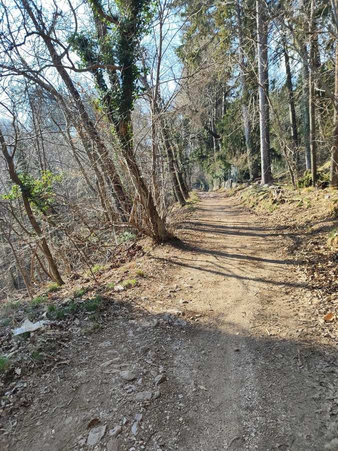 Baita Patrizi