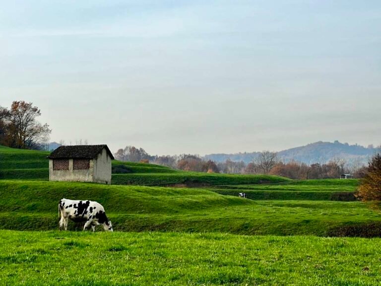 Giro del Parco di Montevecchia e della Valle del Curone