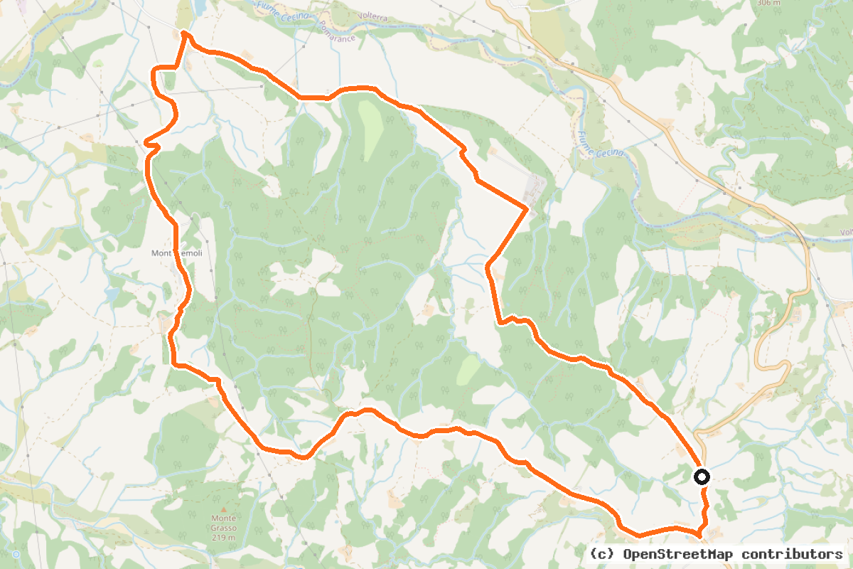 Il tracciato del percorso Montegemoli e le grandi tenute (20)